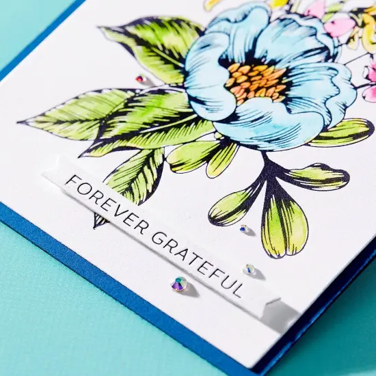 Spellbinders Betterpress Letterpress Press Plates & Dies Set-Always & Forever Strips 1/Plate & 1/Die {5}