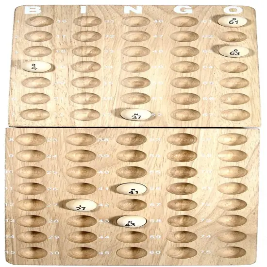 WE Games Deluxe Bingo Game Set {6}