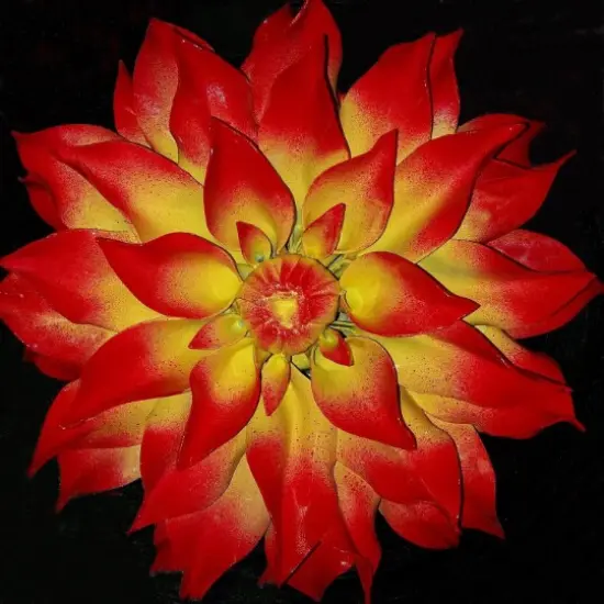 Color Changing Powder Pigment Thermochromic Temperature Heat Sensitive Red yellow 77&deg;f {2}