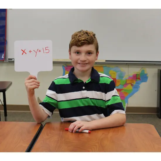 Two-Sided Rectangular Dry Erase Graphing Paddles, Pens, and Erasers, Class Pack of 12 {2}