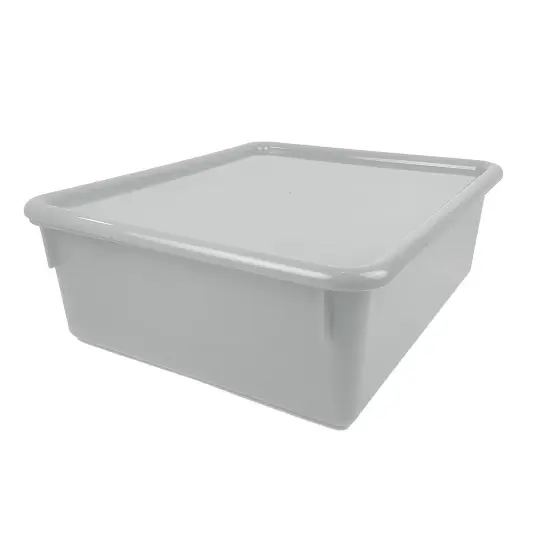 Double Stowaway&reg; Tray with Lid, White {1}