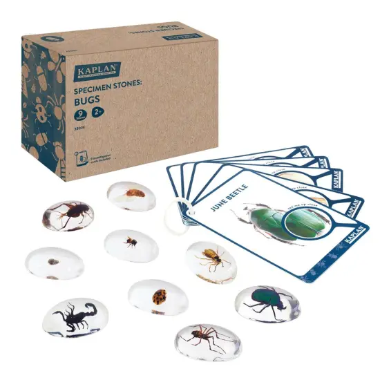 Kaplan Early Learning Company Specimen Stones: Bugs - 9 Pieces {2}