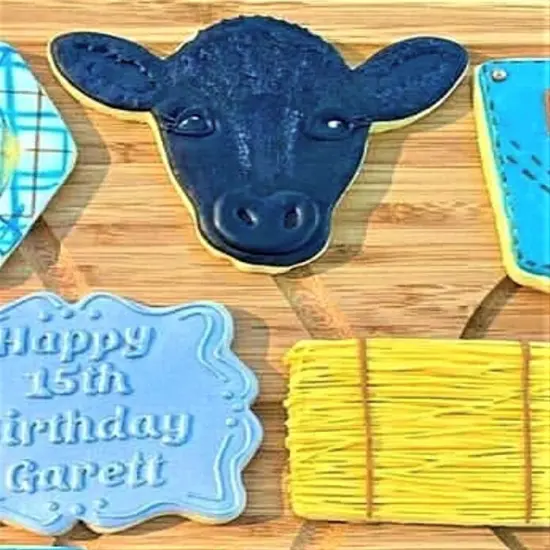 Ann Clark Cute Cow Face Cookie Cutter {2}