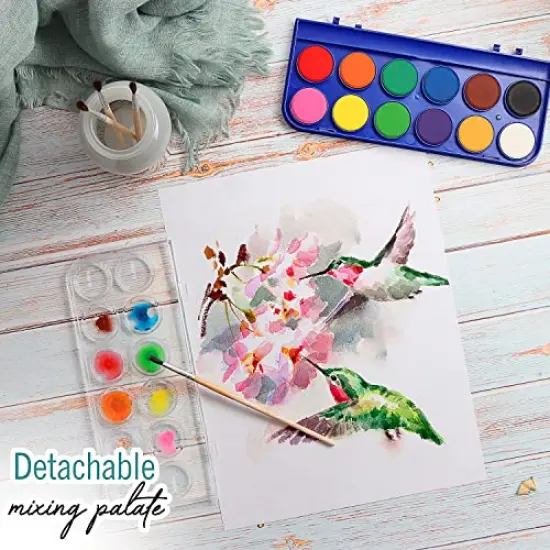 2 Pack Watercolor Paint Set 12 Vivid Colors Includes Watercolour Mixing Palette and 1 Brushe, Perfect For Artists, Beginner Painters, Kids and Adult Painting {2}