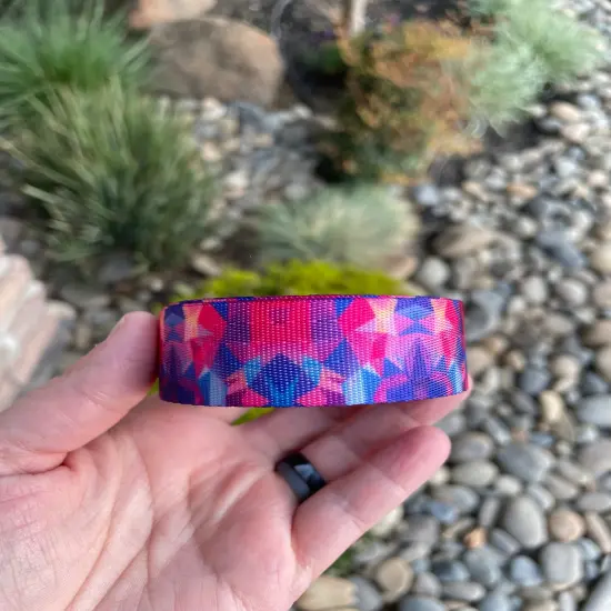 Jewel Geometric 1” Seatbelt Webbing (by the yard) {2}