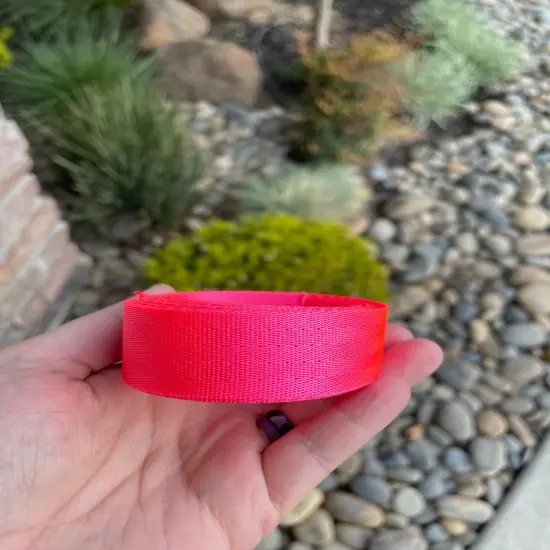 Neon Pink 1&rdquo; Seatbelt Webbing (by the yard) {1}