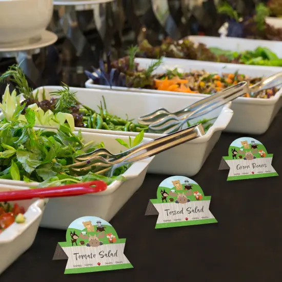 Big Dot of Happiness Woodland Creatures - Baby Shower or Birthday Party Tent Buffet Card - Table Setting Name Place Cards - Set of 24 {4}