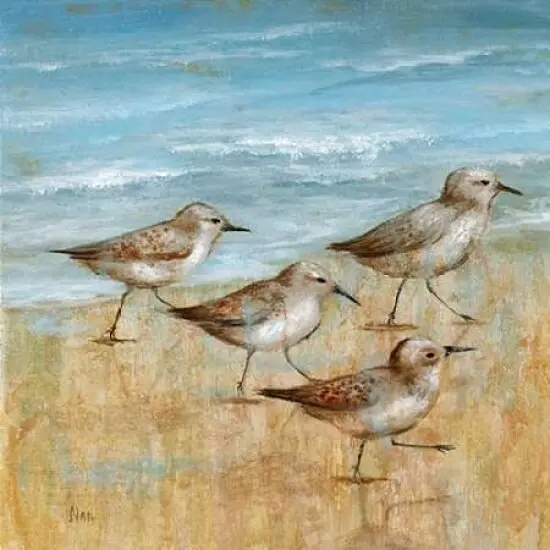 Sandpipers I Poster Print by Nan - Item # VARPDX14970 {1}