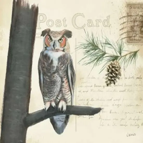 Northern Wild V Poster Print by James Wiens - Item # VARPDX17390 {2}