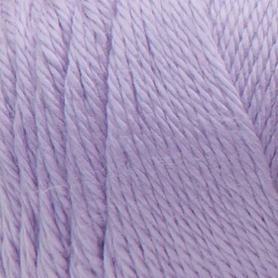 (Pack of 2) Caron Simply Soft Solids Yarn-Orchid {2}