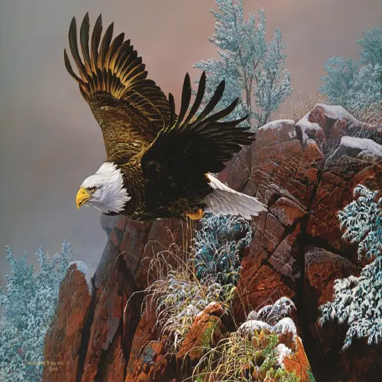 Sunsout Wind Surfer 1000 pc Jigsaw Puzzle 56415 {1}