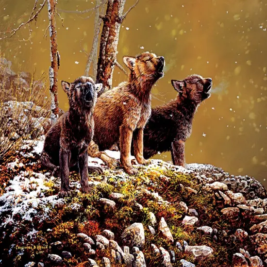 Sunsout Nature's Song 500 pc Jigsaw Puzzle 56478 {1}