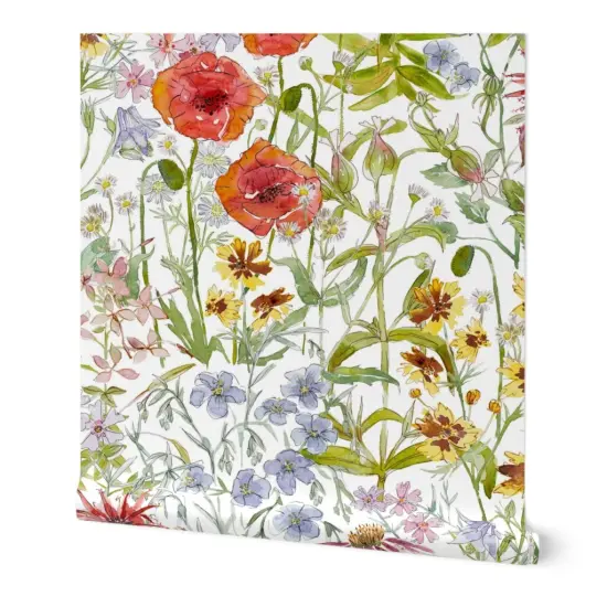 Peel & Stick Wallpaper 2FT Wide Wildflowers Green Red Floral Poppies Hand Drawn Ink Novelty Watercolor Columbine Chamomile Bee Balm Bell Flower Creeping Phlox Spider Custom Removable Wallpaper by Spoonflower {7}