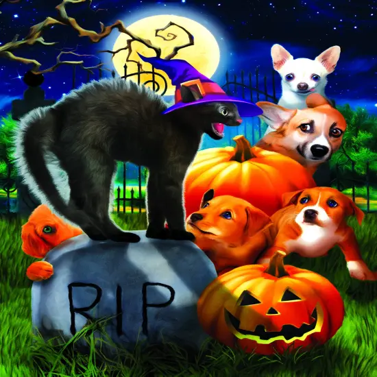 Sunsout Don't mess with Kitty 1000 pc Halloween Jigsaw Puzzle 28920 {1}