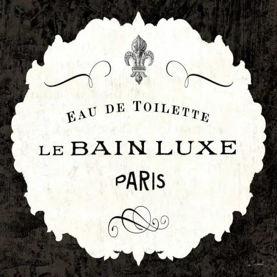 Le Bain Luxe I Poster Print by Sue Schlabach - Item # VARPDX13389 {2}
