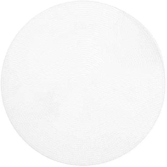 CousinDIY Clear Plastic Canvas Shape - One 9" Circle {1}