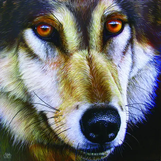 Sunsout Wolf Face 1000 pc Jigsaw Puzzle 58644 {1}