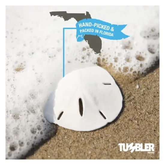 50 Pack Small Natural White Sand Dollars - Wedding - Sea Shell Craft 1 1/4" to 1 1/2" - Hand Picked and Professionally Packed {5}