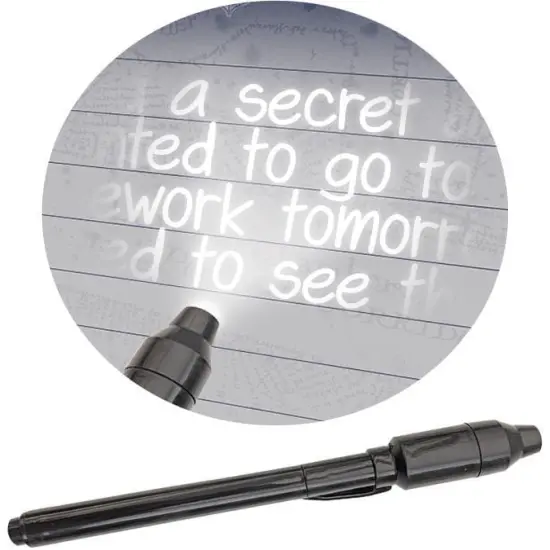 Harry Potter Hogwarts at Night Locking Invisible Ink Diary {3}