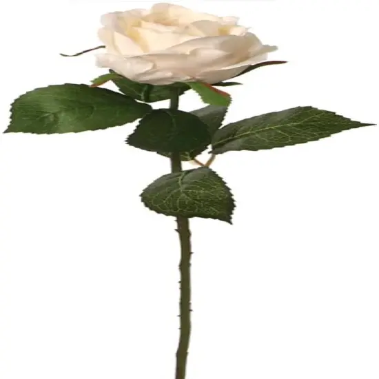 Rose Bud Stem - 48-Pack, Realistic Silk Foliage, Lifelike Blooms, Perfect for Floral Arrangements, Events & Home D&eacute;cor - Ideal for All Seasons, Floral Home by Artificial Flowers Cream {1}