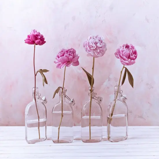 Peonies in glass bottles Poster Print by Assaf Frank # AF20160707260C01 {1}