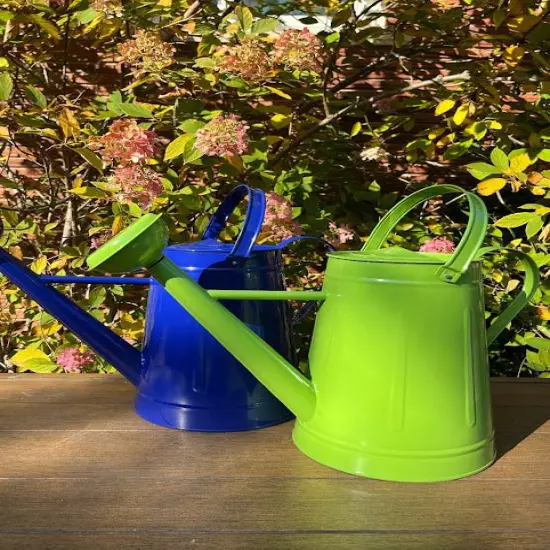 Large Watering Can - FUN COLORS Lime {4}
