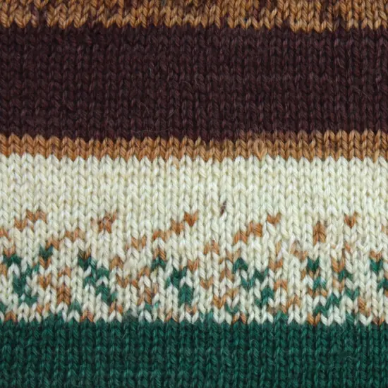 (Pack of 2) Patons Kroy Socks Yarn-Woodsie {2}