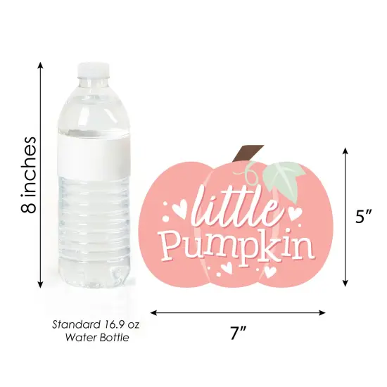 Big Dot of Happiness Girl Little Pumpkin - Decorations DIY Fall Birthday Party or Baby Shower Essentials - Set of 20 {6}