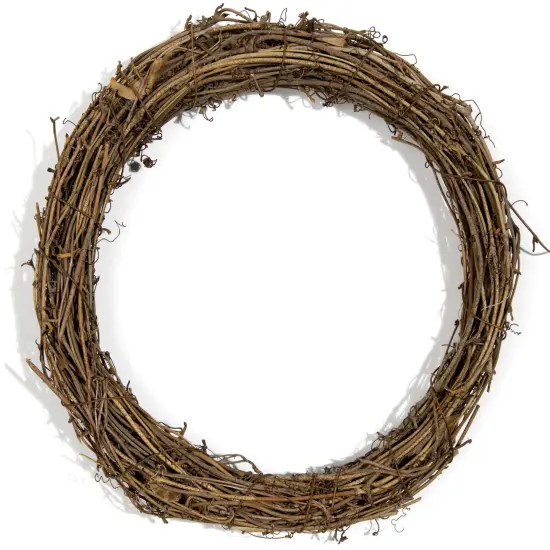 CousinDIY Grapevine Wreath-10" {1}