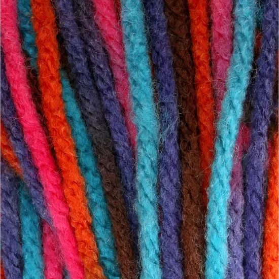 Bernat Super Value Ombre Yarn {3}