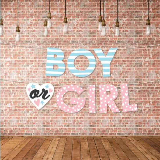 Big Dot of Happiness Baby Gender Reveal - Team Boy or Girl Party Decorations - Boy or Girl - Outdoor Letter Banner {4}