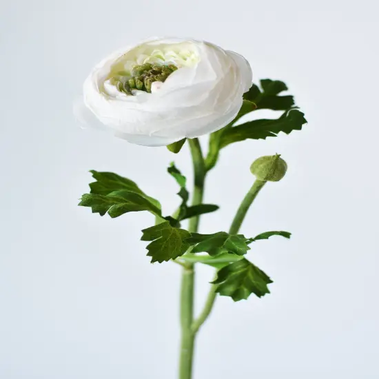 13" Faux White Ranunculus Stem {3}
