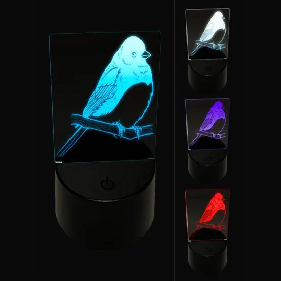 Perched Dark-Eyed Junco Bird 3D Illusion LED Night Light Sign Nightstand Desk Lamp {1}