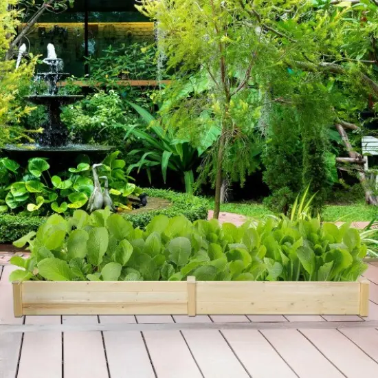 Raised Flowers Vegetables Garden Wooden Planter Box {2}
