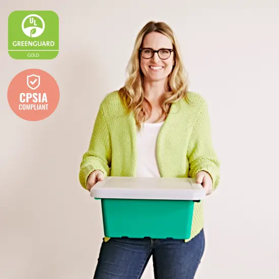 Square Bin with Lid, Storage Containers, 2-Pack Emerald {6}