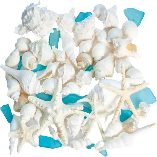 Sea Shells | Real Mixed Beach Seashells with Real Starfish & Caribbean Blue Sea Glass Seashell Wedding (2 Pack) {6}