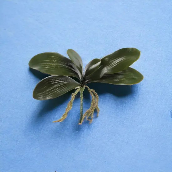 12-Pack: 16" Phalaenopsis Orchid Foliage Cluster Pick , Floral Home by Artificial Flowers {2}