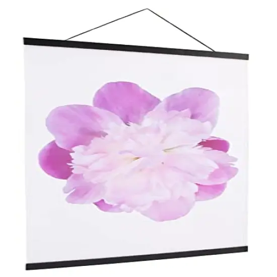 Aynoo Magnetic Poster Hanger Frame 12x18 12x16 12x24 Poster Frame 12 Inch 1Pack Wide Magnetic Poster Hanger Frame Wooden Frame Hanger for Photo Pictures Canvas Posters Maps {4}