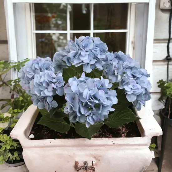 6-Pack: Blue Hydrangea Bush with 7 Silk Flowers & Leaves by Floral Home Artificial Flowers {2}