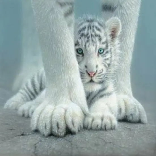 Sunsout Sheltered 550 pc Jigsaw Puzzle 21852 {1}