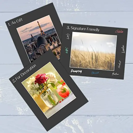 Pack of 10 ,11x14 Black Picture Mat Set with White Core Bevel Cut for 8x10 Photo {5}