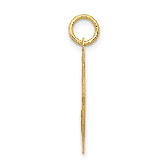 14K Yellow Gold Labrador Retriever Disc Charm Pendant Jewerly 26mm x 20mm {4}