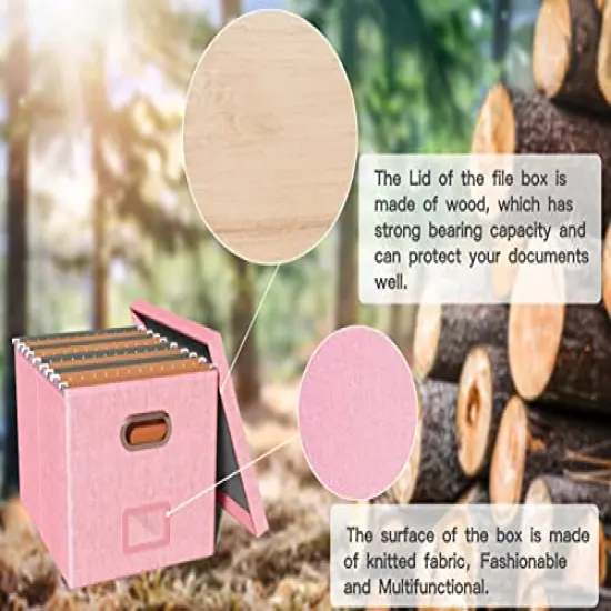 Oterri File Storage Organizer Box,Filing Box,Portable File Box with Lid,Fit for Letter/Legal File Folder Storage, Easy Slide Durable Hanging File Box for Office/Decor/Home,1 Pack,Pink-Box only {4}