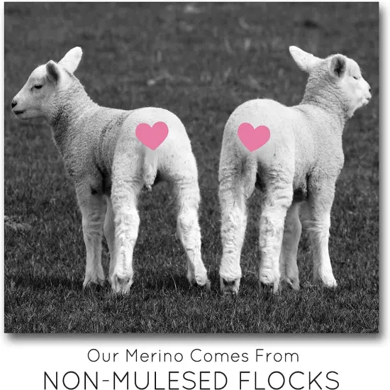 COWL KNITTING KIT: Super Soft Merino Silk Yarn + Large #19 needles + Written Pattern w/ Photo Tutorial. Gift for Knitters. Sapphire {6}