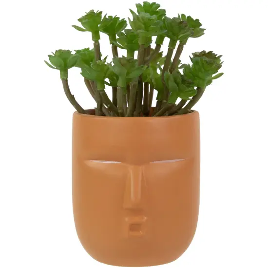 Northlight Mini Artificial Succulent in Face Planter Pot - 5.5" Green {1}