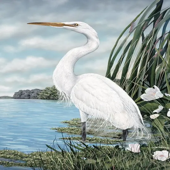 Great White Egret by James Harris - Item # VARPDX5468C {1}