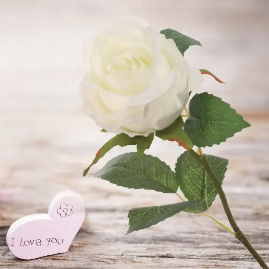 Rose Bud Stem - 48-Pack, Realistic Silk Foliage, Lifelike Blooms, Perfect for Floral Arrangements, Events & Home D&eacute;cor - Ideal for All Seasons, Floral Home by Artificial Flowers White {2}