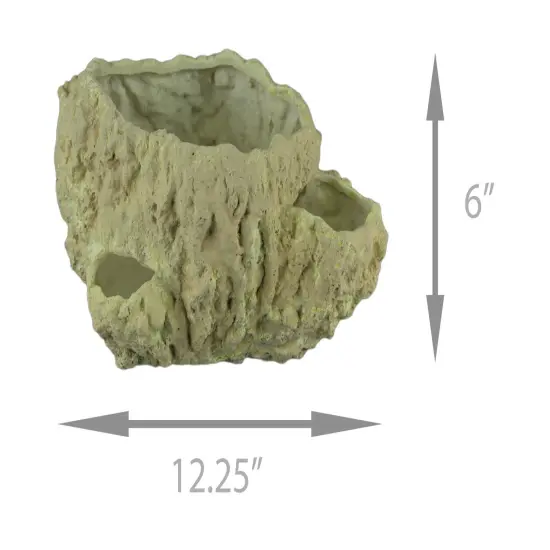 Off-White Fossilized Coral Decorative Coastal Decor Vase {5}