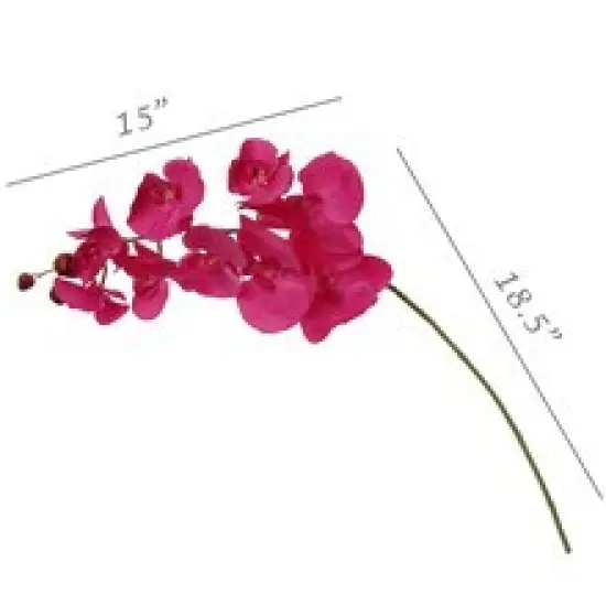 2 Vibrant Fuchsia Phalaenopsis Orchid Stems - 33.5-Inch - Event & Home Decor {4}