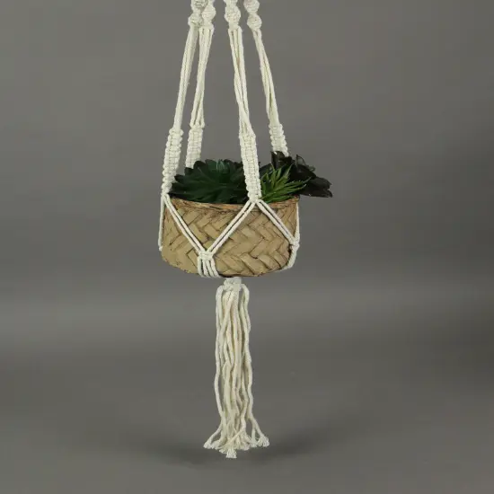 Rope Hanging Cement Succulent Bowl Flower Pot Home Decor Decorative Planter {3}